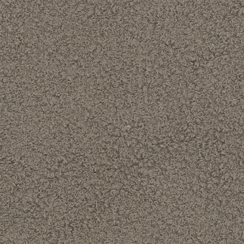 Taupe (teddy)